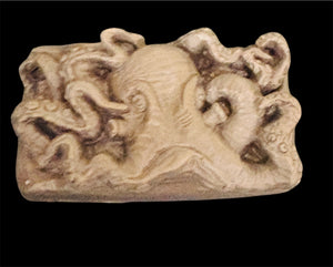 Cocoa and Coffee Goats Milk Soaps